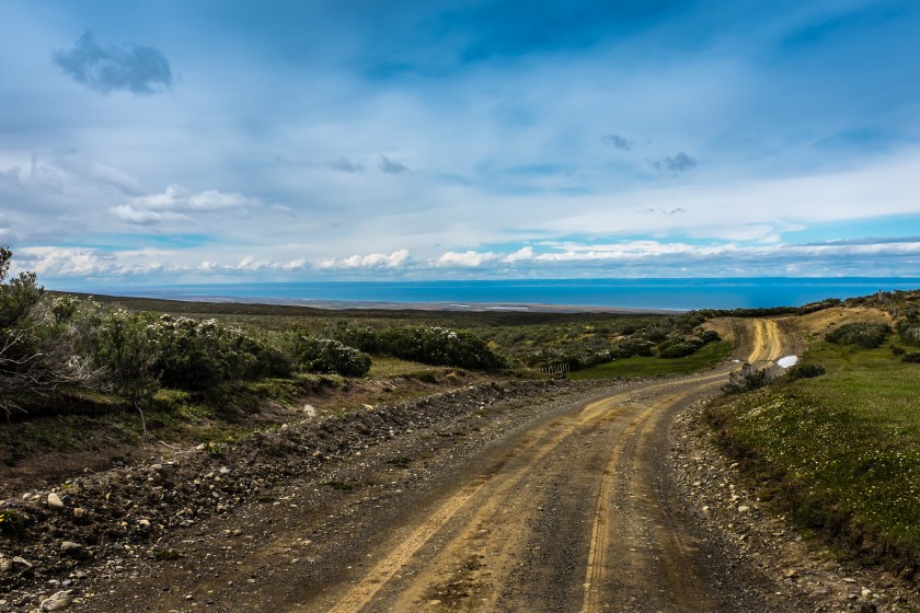 untitled (1 of 33) copy