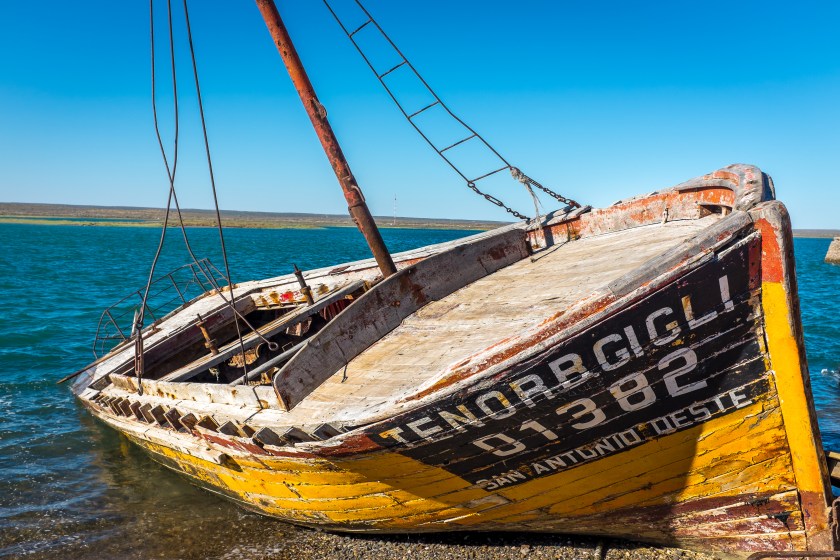 untitled (14 of 17)-2 copy