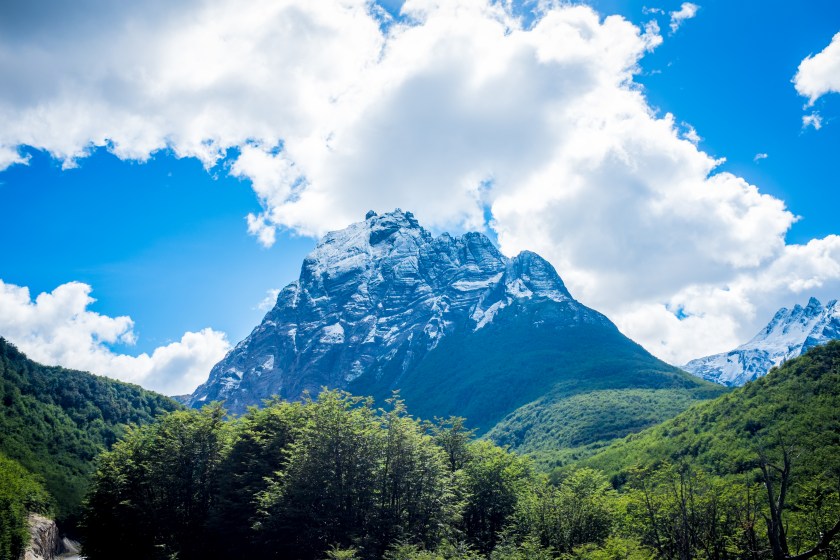 untitled (15 of 33) copy