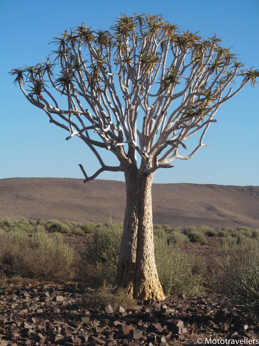 Fish River (3 of 12)