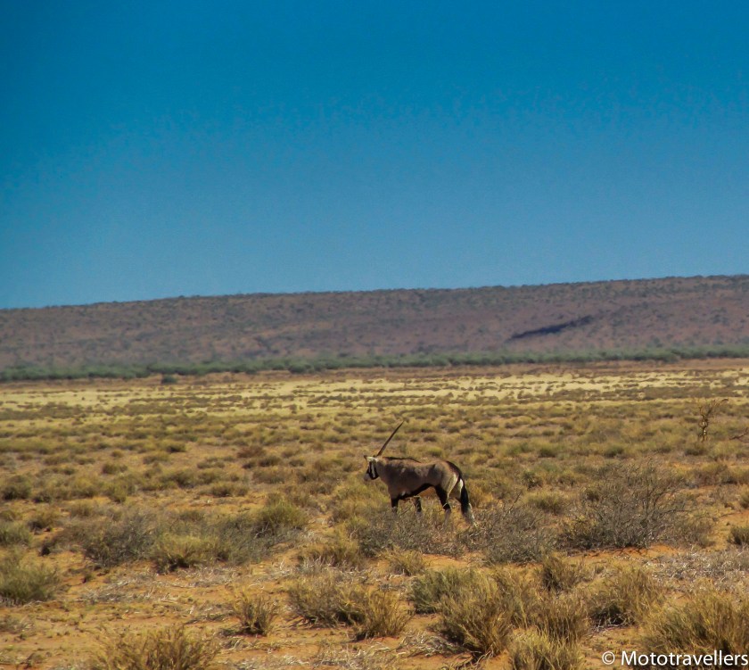 Fish River (9 of 12)