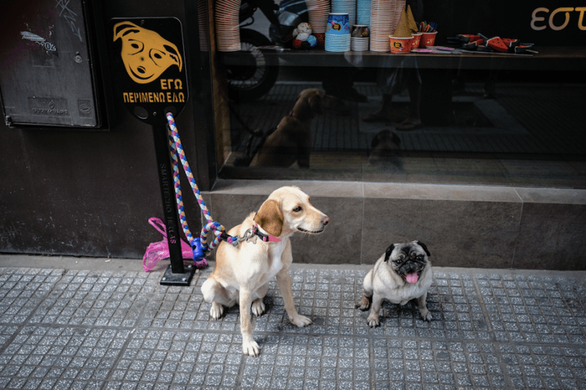 Screen Shot 2018-07-09 at 11.39.45 PM